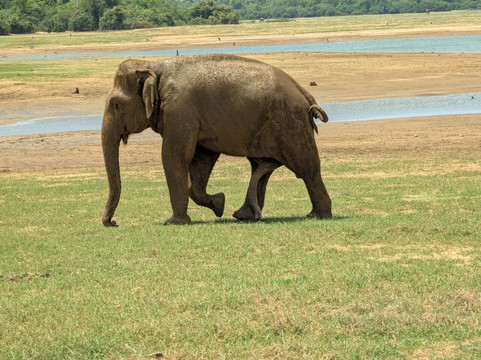 BTR SL-加勒必去景点