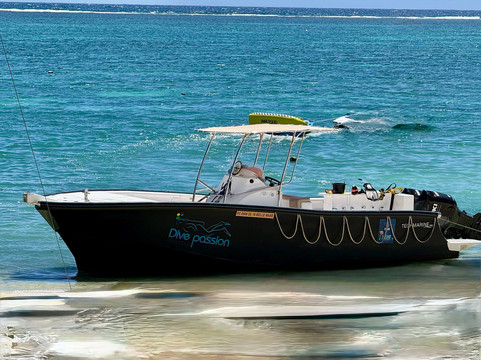 Dive Passion Mauritius-卓得多斯必去景点