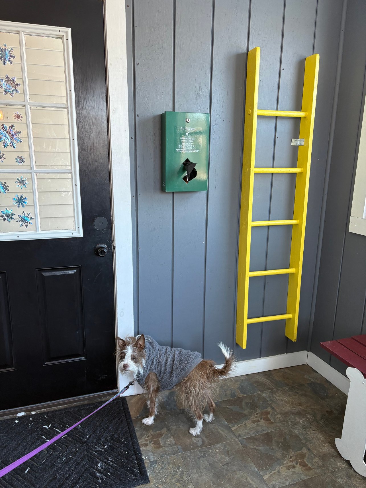 The Paw House Inn-官方