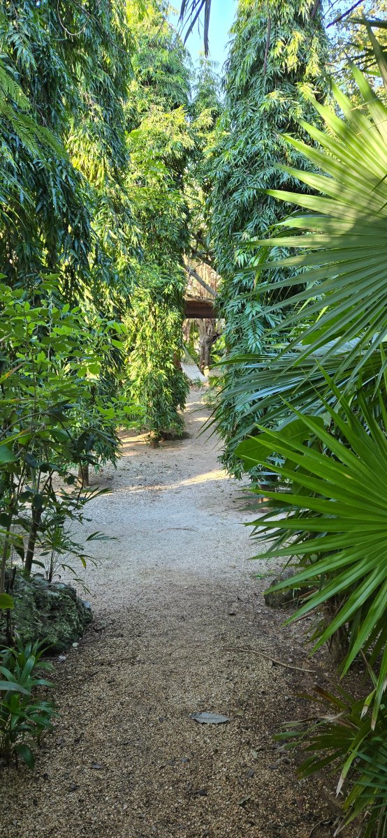 艾库玛尔玛雅河全包秘密酒店-浴室