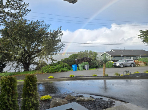 博德加海岸套房旅馆主图