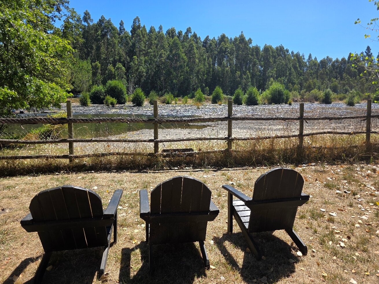 萨尔托拉哈酒店-官方