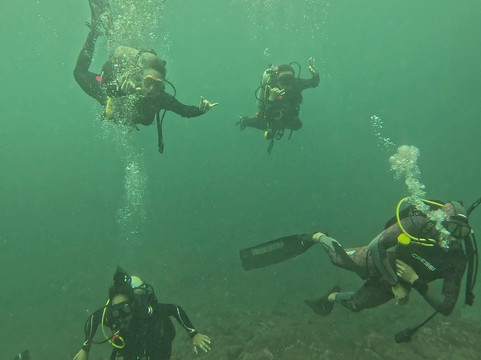 Gaia Divers - Underwater Experiences