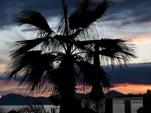 Port de Fontvieille-丰维耶必去景点