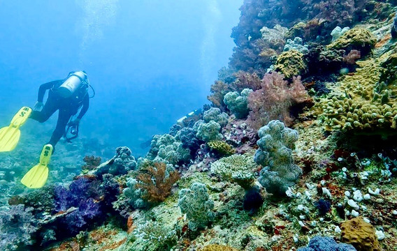 Aqua-Trek-太平洋港必去景点