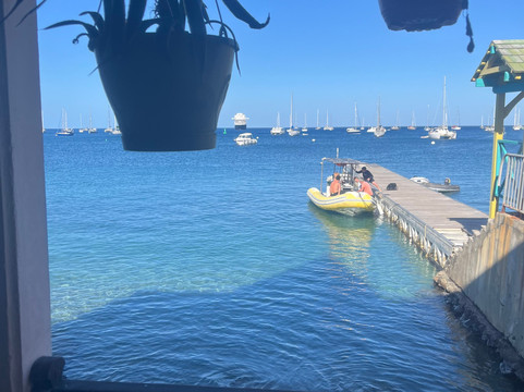 Calypso Plongée-Deshaies必去景点