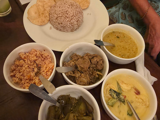 Sri Lankan Personal Drivers-科伦坡必去景点