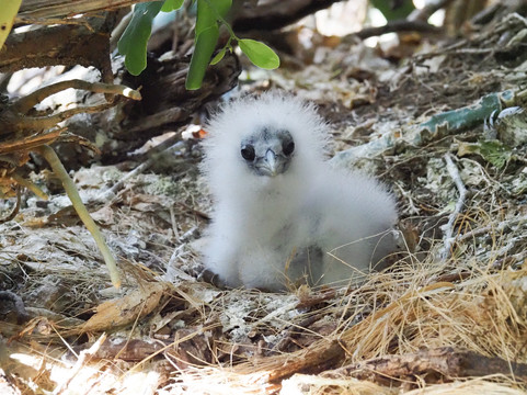 Top Ranking Glass Bottom Boat Tours