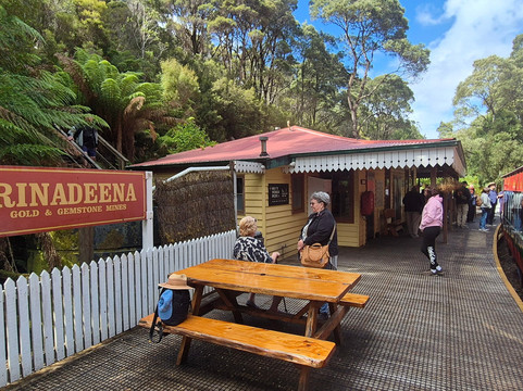 West Coast Wilderness Railway-皇后镇必去景点