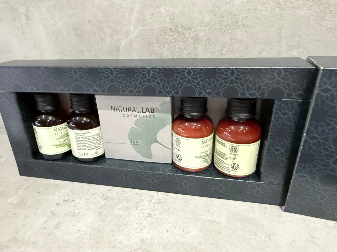 普斯提里翁主图