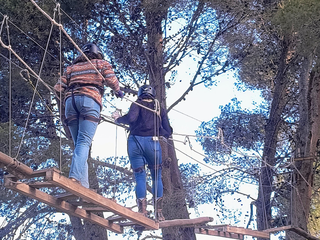 Be Wine Tours-门多萨必去景点