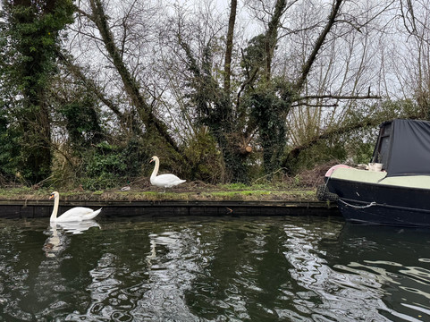 The Piano Boat-乌克斯桥必去景点