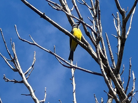 博克特花园旅馆主图