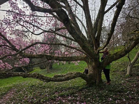 Mapperton House, Gardens & Wildlands-Mapperton必去景点