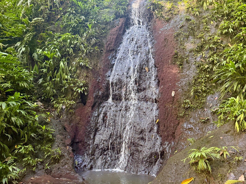 La Tierra Del Encanto-Isla Bastimentos必去景点