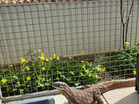 Quinta Fotoplanet Farm-阿尔布赞拉必去景点