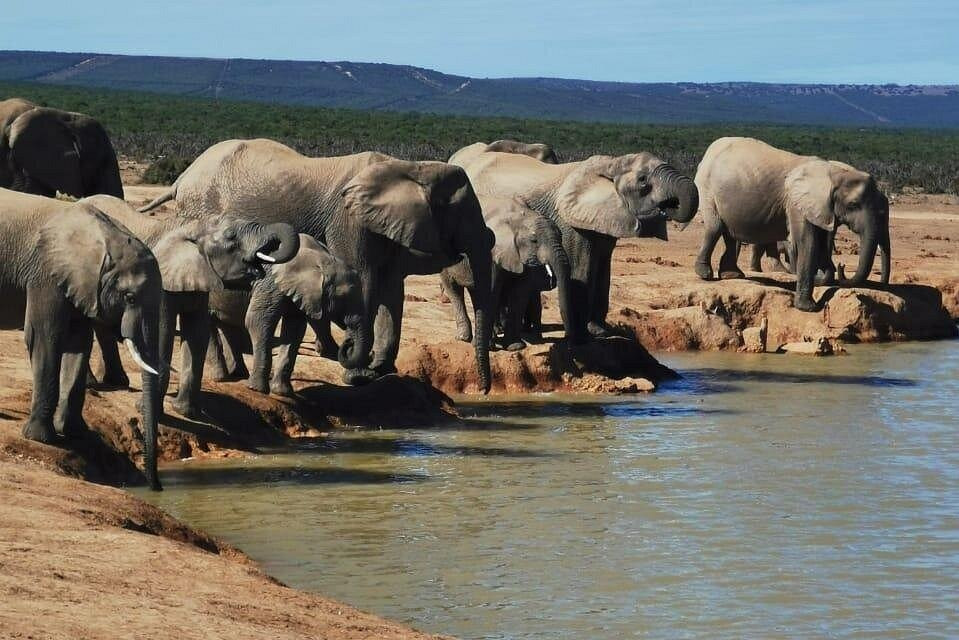 Traditional African Braai and Adventure Experience