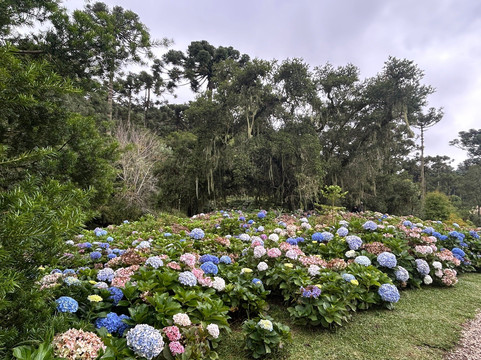 Parque da Lagoinha-坎普斯－杜若尔当必去景点