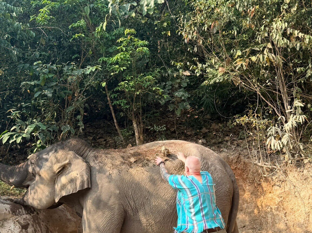 Chiangmai Elephant Sanctuary-清迈必去景点