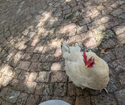 Muratie-斯泰伦博斯必去景点