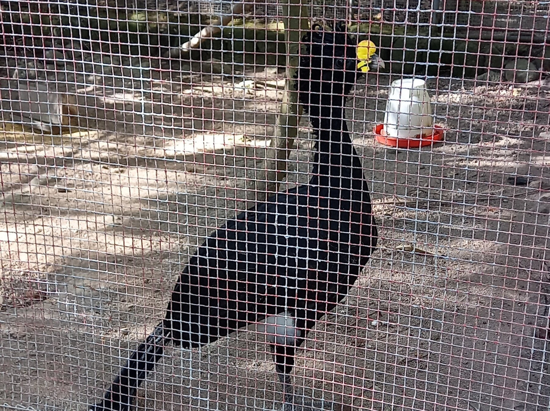 El Nispero Zoo and Botanical Garden-安东谷必去景点