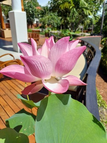 美那滩度假村和spa-浴室