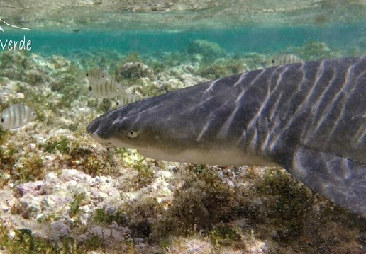 Explore Cape Verde-圣塔玛丽亚必去景点
