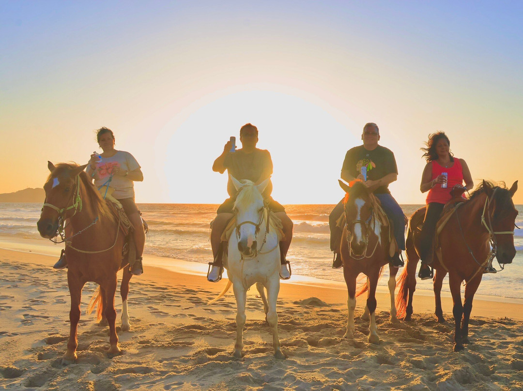 Vista Paraiso - Day Tours and Activities-Higuera Blanca必去景点