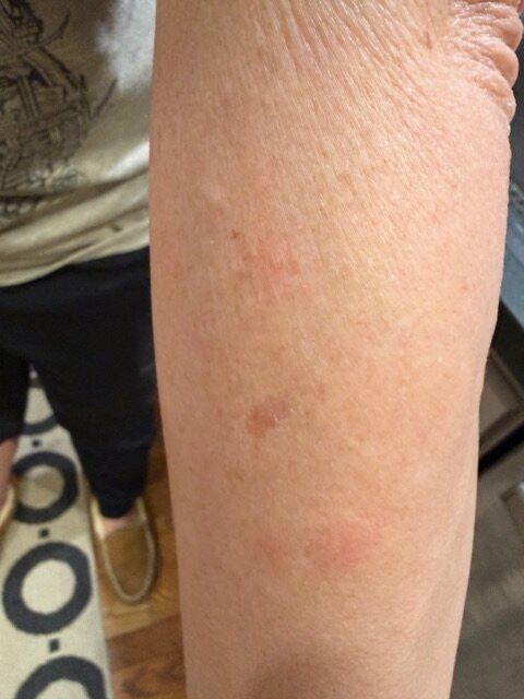 智选假日酒店-沃希斯-劳雷尔山-洲际酒店集团旗下主图