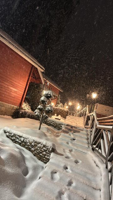 阿尔卑斯酒店-官方