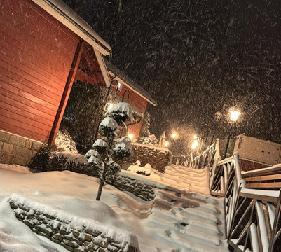 阿尔卑斯酒店主图