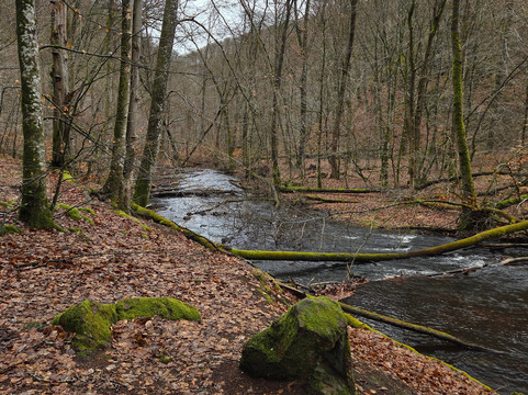 Soderasens National Park-斯科讷必去景点