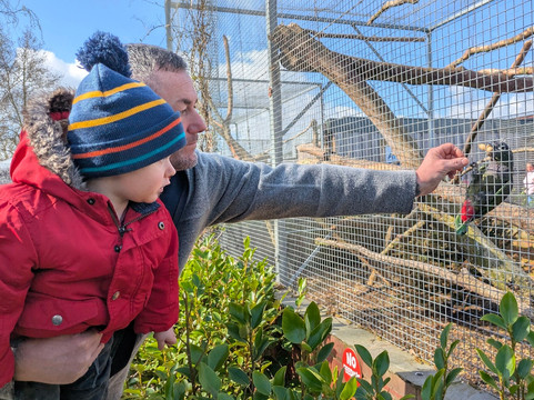 Lincolnshire Wildlife Park-Friskney必去景点