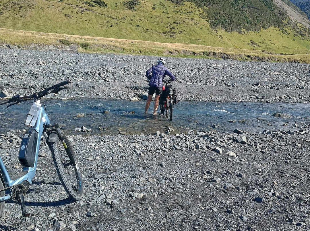 Wildfinder-惠灵顿必去景点