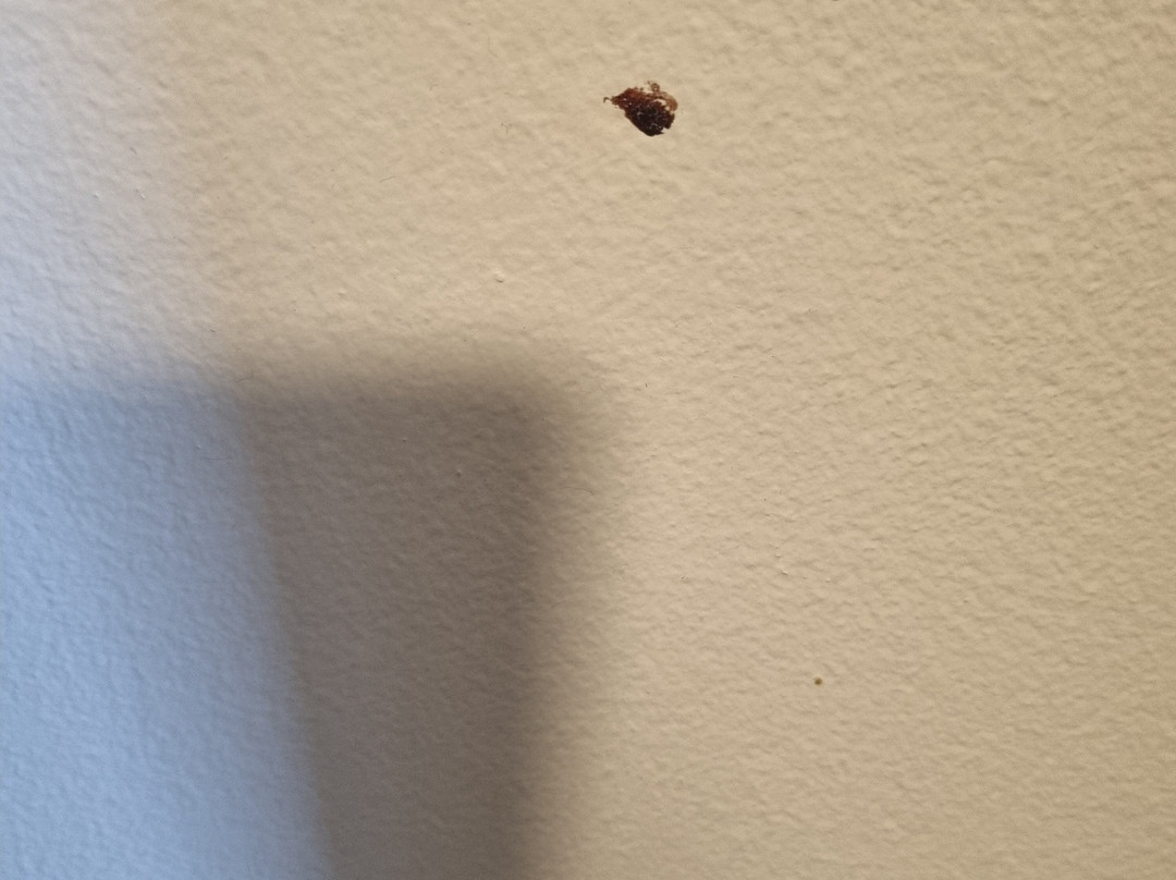 Chifley On City View主图