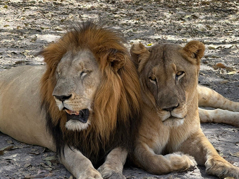 Happy Excursions Senegal-莫布瓦必去景点
