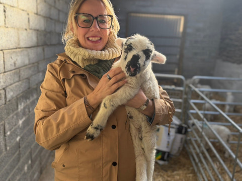 Hold A Baby Lamb-Glanfahan必去景点