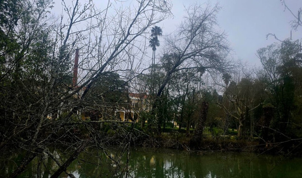 库里亚托马斯酒店主图