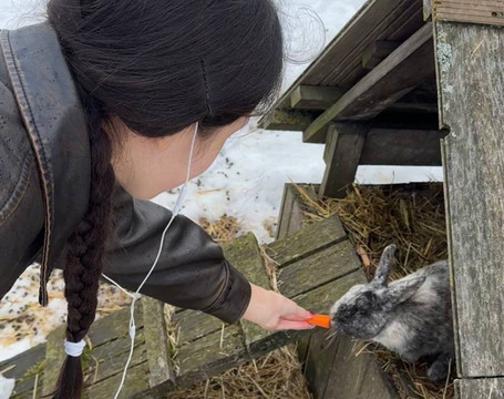 Fort XI Dönhoff-加里宁格勒必去景点
