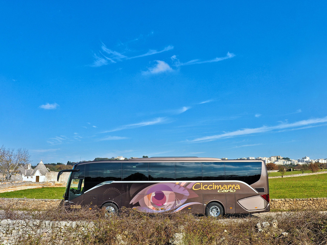 Tour tra le due Terre- Puglia e Basilicata-Cisternino必去景点