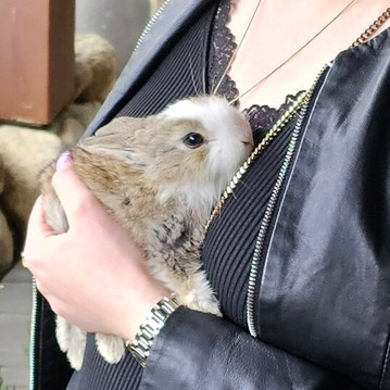 Castelul de Lut Valea Zanelor