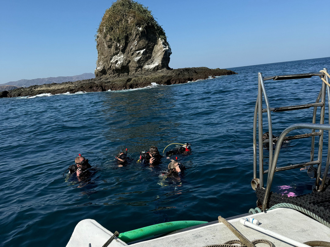 Rocket Frog Divers-Playas del Coco必去景点