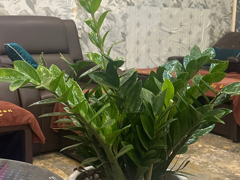 Peony Garden Spa-河内必去景点