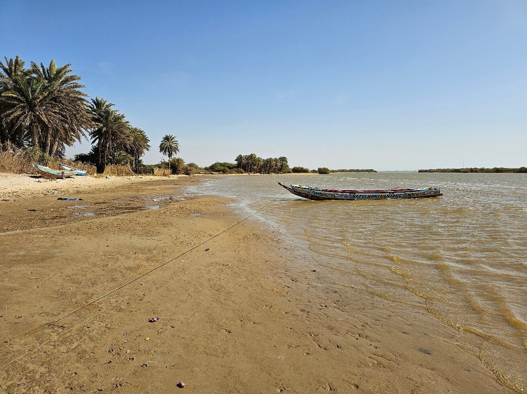 Max Sakho Chauffeur Guide-Saly必去景点