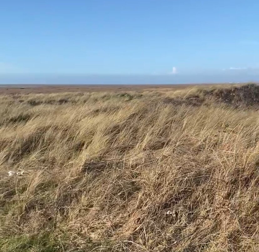 Southport Beach-绍斯波特必去景点