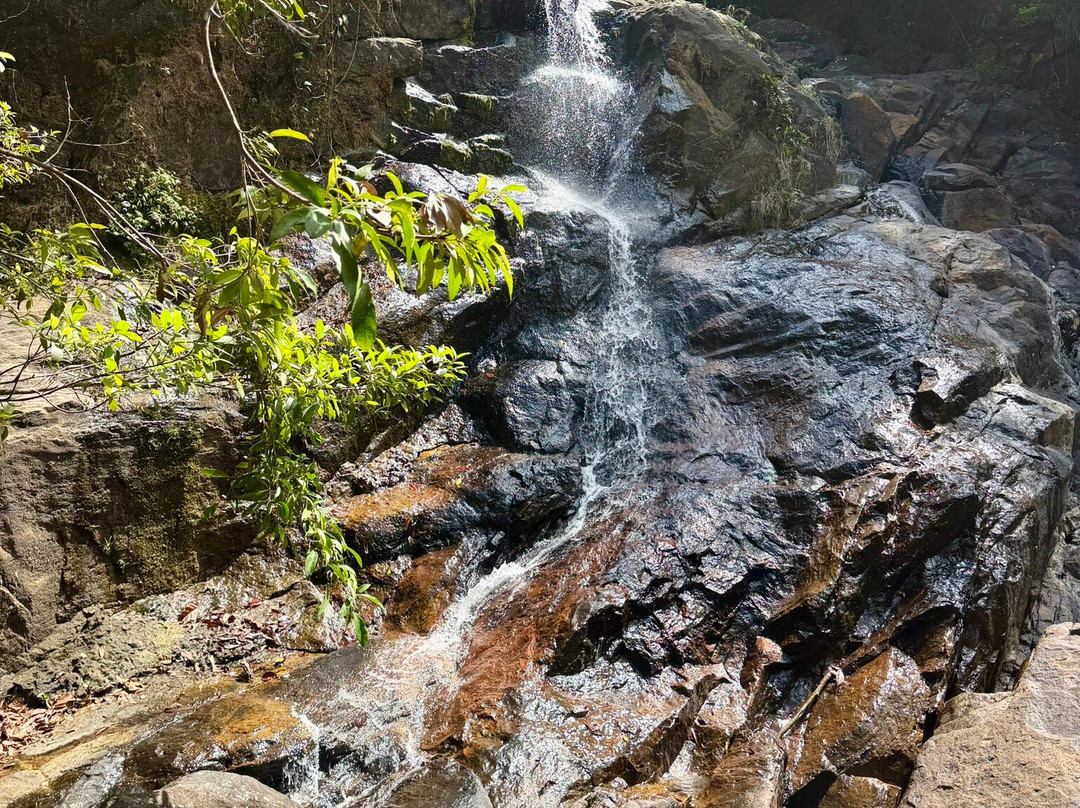 Asela Tours-加勒必去景点