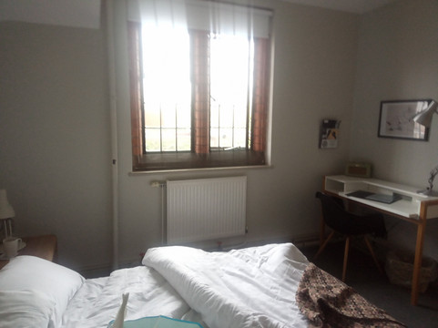 格莱斯顿图书馆酒店主图