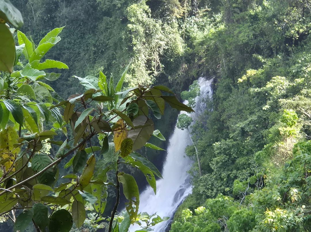 African Kismat Expeditions-Ruiru必去景点