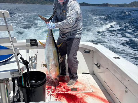 Cebaco Bay Sportfishing-Isla de Coiba必去景点