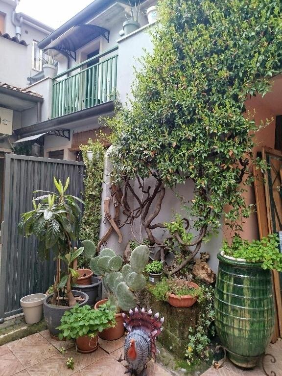 米拉诺酒店-度假村/酒店